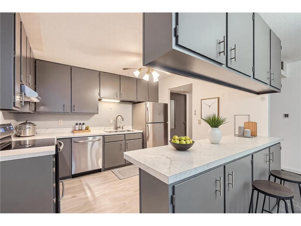 2495 Canabury Drive #220 Little Canada MN 55117 6695531 image1