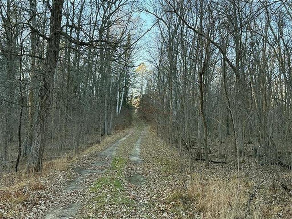 24965 Hammock Trail Park Rapids MN 56470 - Eagle 6816262 image2