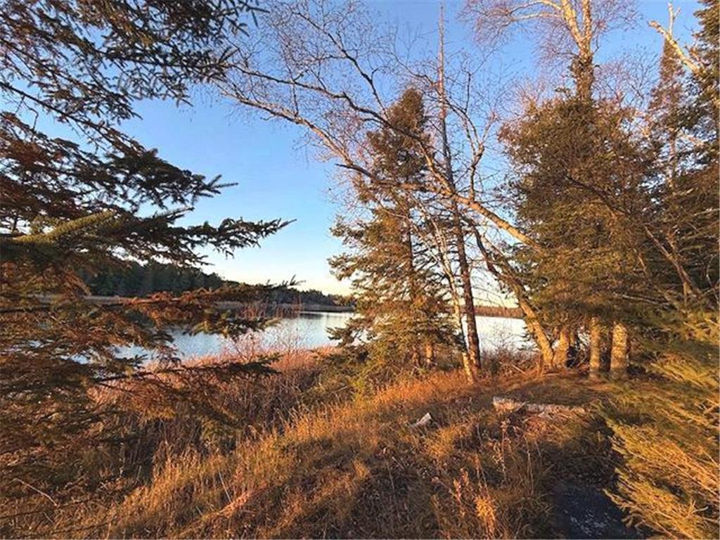 24965 Hammock Trail Park Rapids MN 56470 - Eagle 6816262 image20