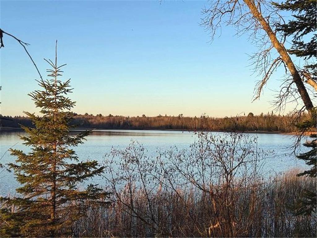 24965 Hammock Trail Park Rapids MN 56470 - Eagle 6816262 image22