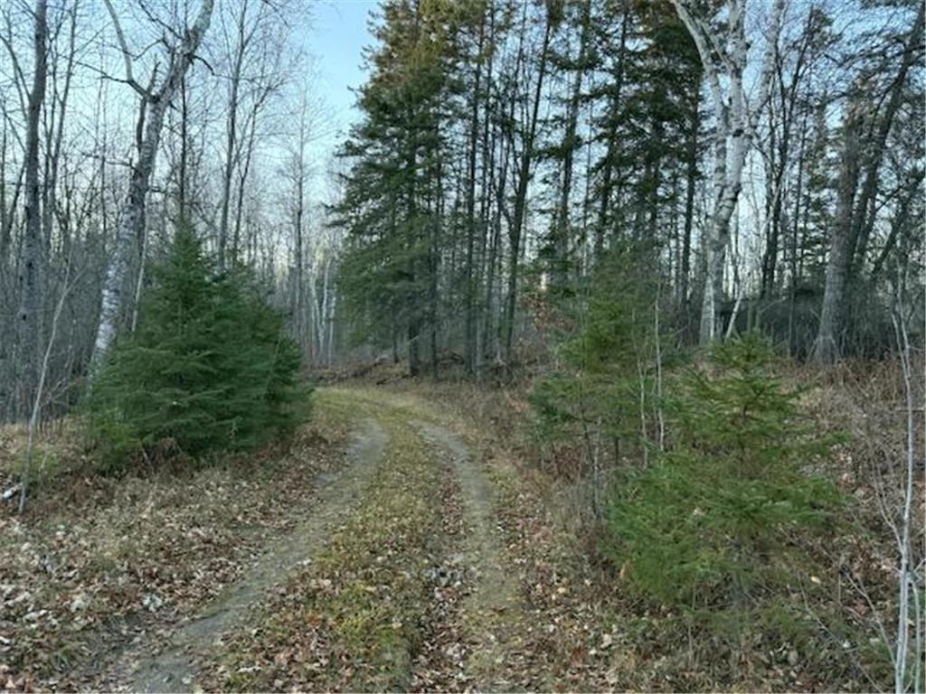 24965 Hammock Trail Park Rapids MN 56470 - Eagle 6816262 image3