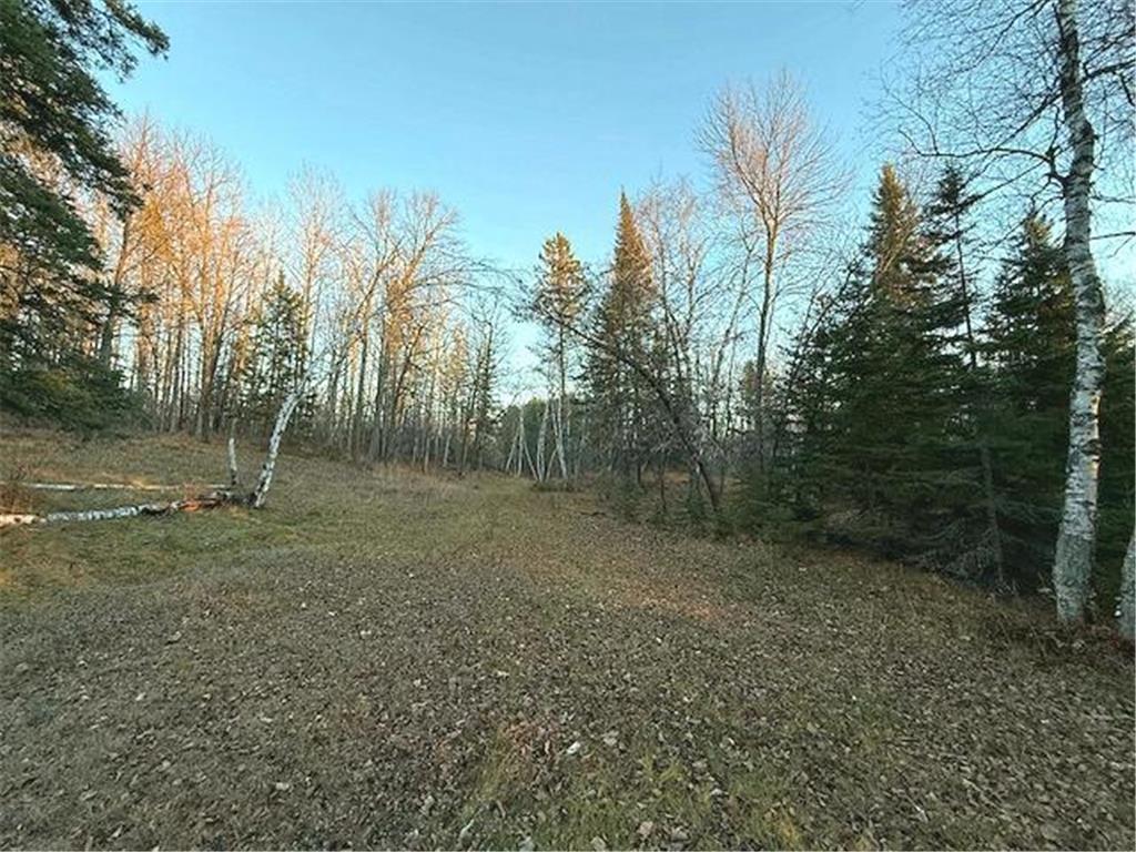 24965 Hammock Trail Park Rapids MN 56470 - Eagle 6816262 image37