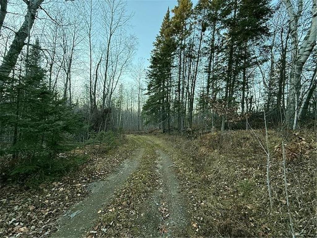 24965 Hammock Trail Park Rapids MN 56470 - Eagle 6816262 image4