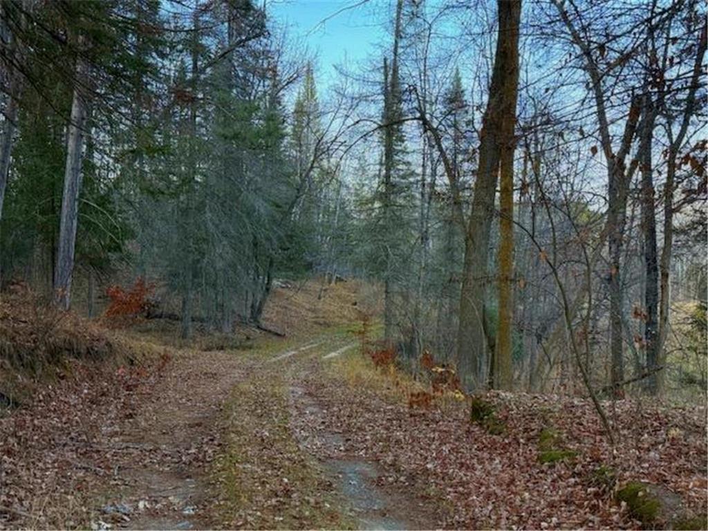 24965 Hammock Trail Park Rapids MN 56470 - Eagle 6816262 image46