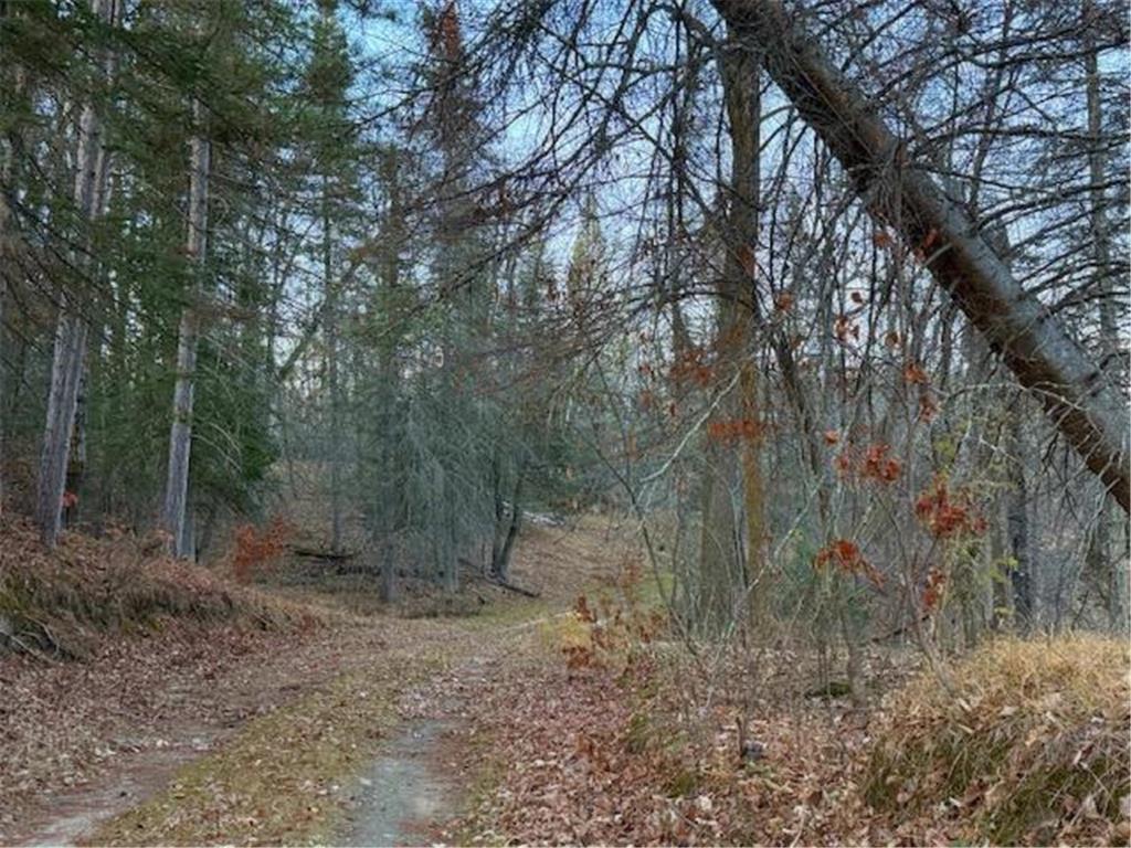 24965 Hammock Trail Park Rapids MN 56470 - Eagle 6816262 image53