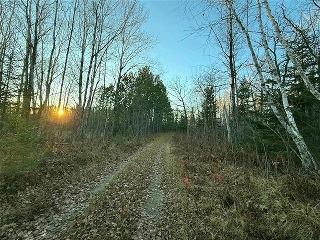 24965 Hammock Trail Park Rapids MN 56470 - Eagle 6816262 image7