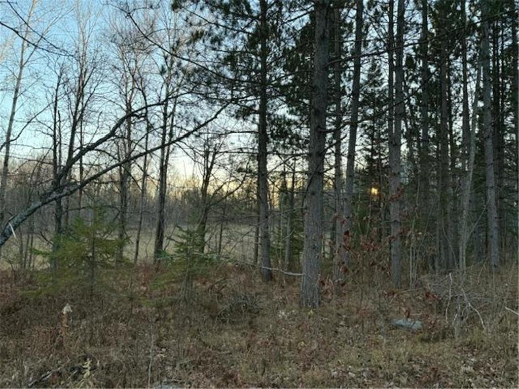 24965 Hammock Trail Park Rapids MN 56470 - Eagle 6816262 image9