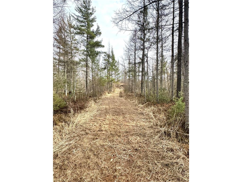 24996 Horseshoe Road Akeley MN 56433 - Crow Wing - 11th 7052785 image17