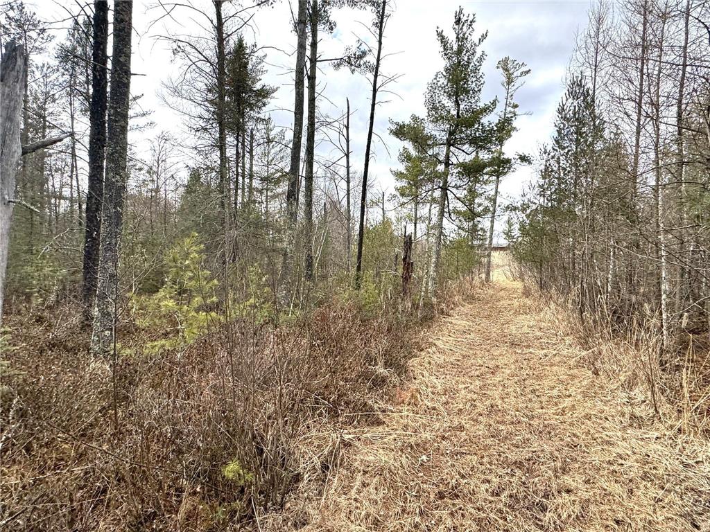 24996 Horseshoe Road Akeley MN 56433 - Crow Wing - 11th 7052785 image19