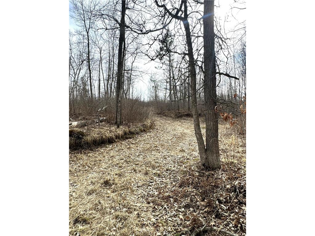 24996 Horseshoe Road Akeley MN 56433 - Crow Wing - 11th 7052785 image59