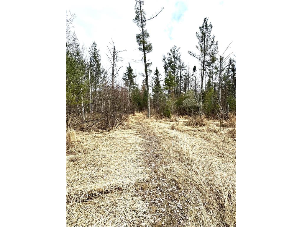 24996 Horseshoe Road Akeley MN 56433 - Crow Wing - 11th 7052785 image60