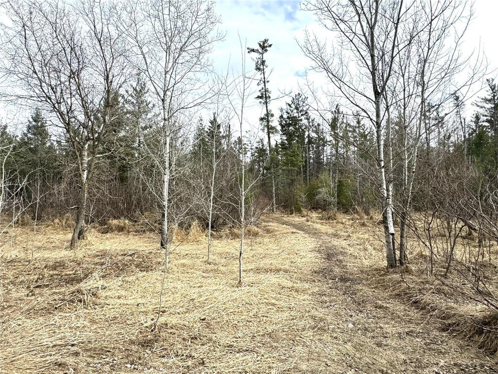 24996 Horseshoe Road Akeley MN 56433 - Crow Wing - 11th 7052785 image61
