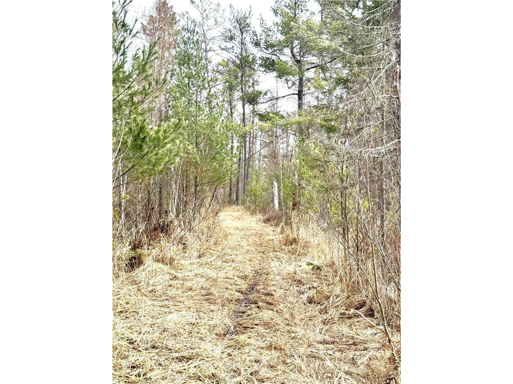24996 Horseshoe Road Akeley MN 56433 - Crow Wing - 11th 7052785 image62