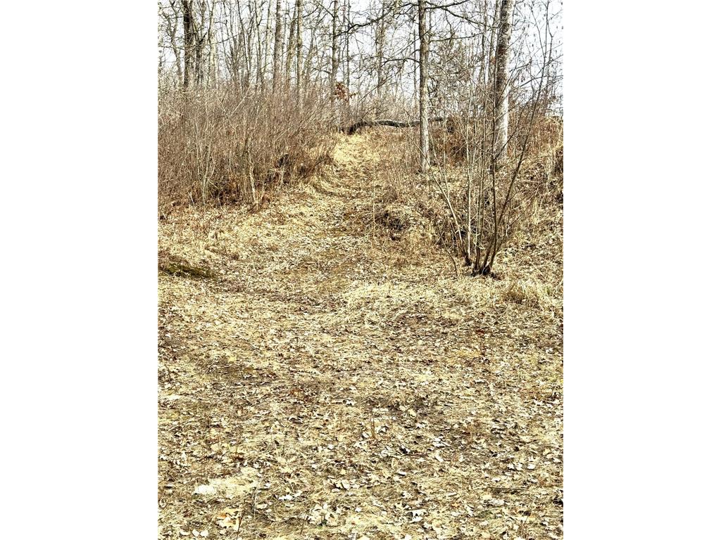 24996 Horseshoe Road Akeley MN 56433 - Crow Wing - 11th 7052785 image63