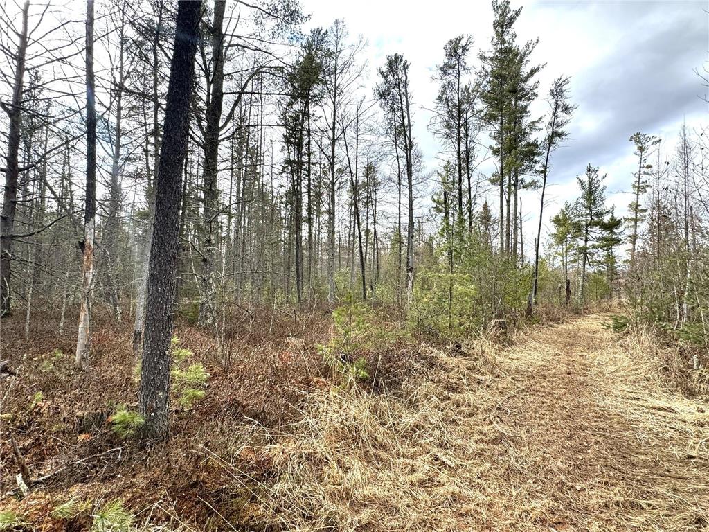 24996 Horseshoe Road Akeley MN 56433 - Crow Wing - 11th 7052785 image64