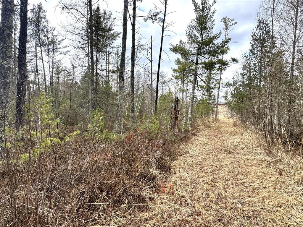 24996 Horseshoe Road Akeley MN 56433 - Crow Wing - 11th 7052785 image65