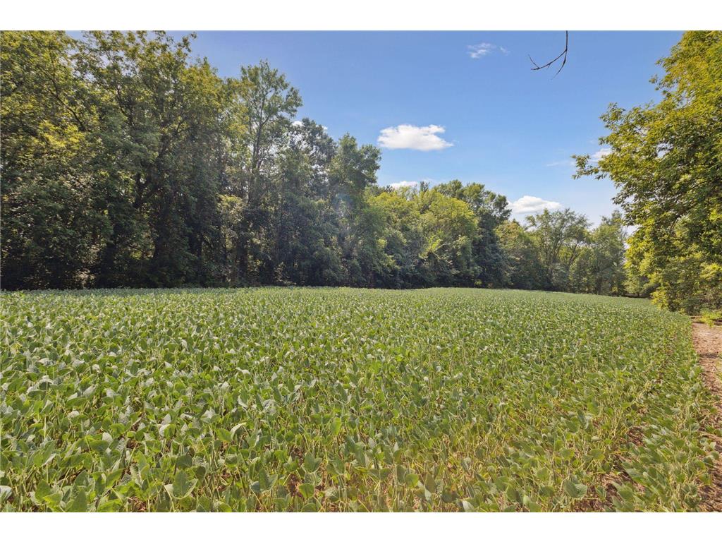 24x1 Holy Name Drive Medina MN 55340 6750065 image1