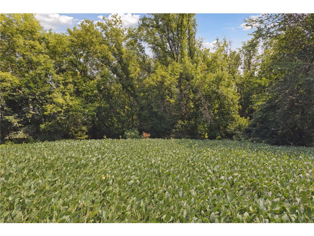 24x1 Holy Name Drive Medina MN 55340 6750065 image5