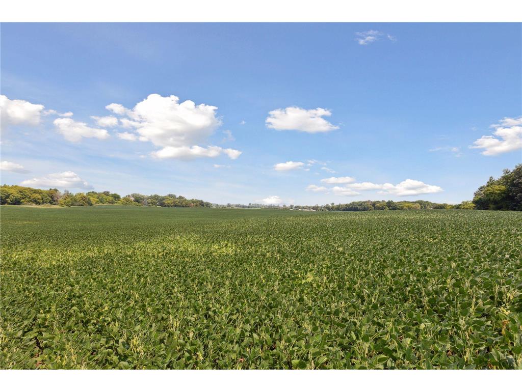 24x1 Holy Name Drive Medina MN 55340 6750065 image6