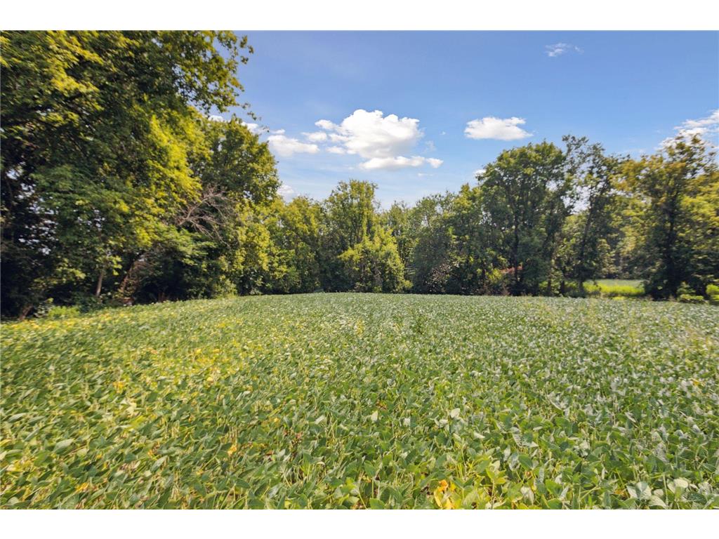 24x2 Holy Name Drive Medina MN 55340 7058753 image4