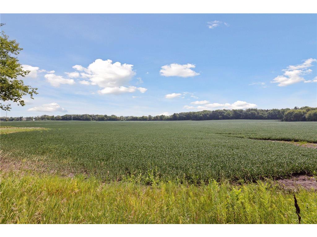 24x4 Holy Name Drive Medina MN 55340 6750128 image1