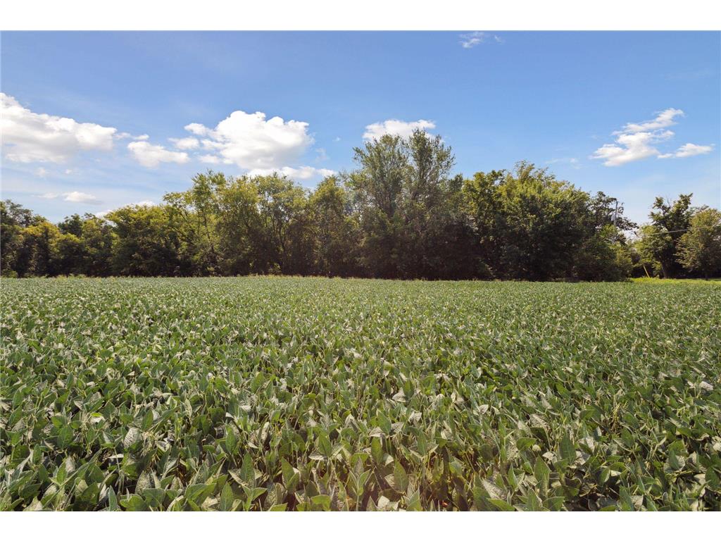 24x4 Holy Name Drive Medina MN 55340 6750128 image2