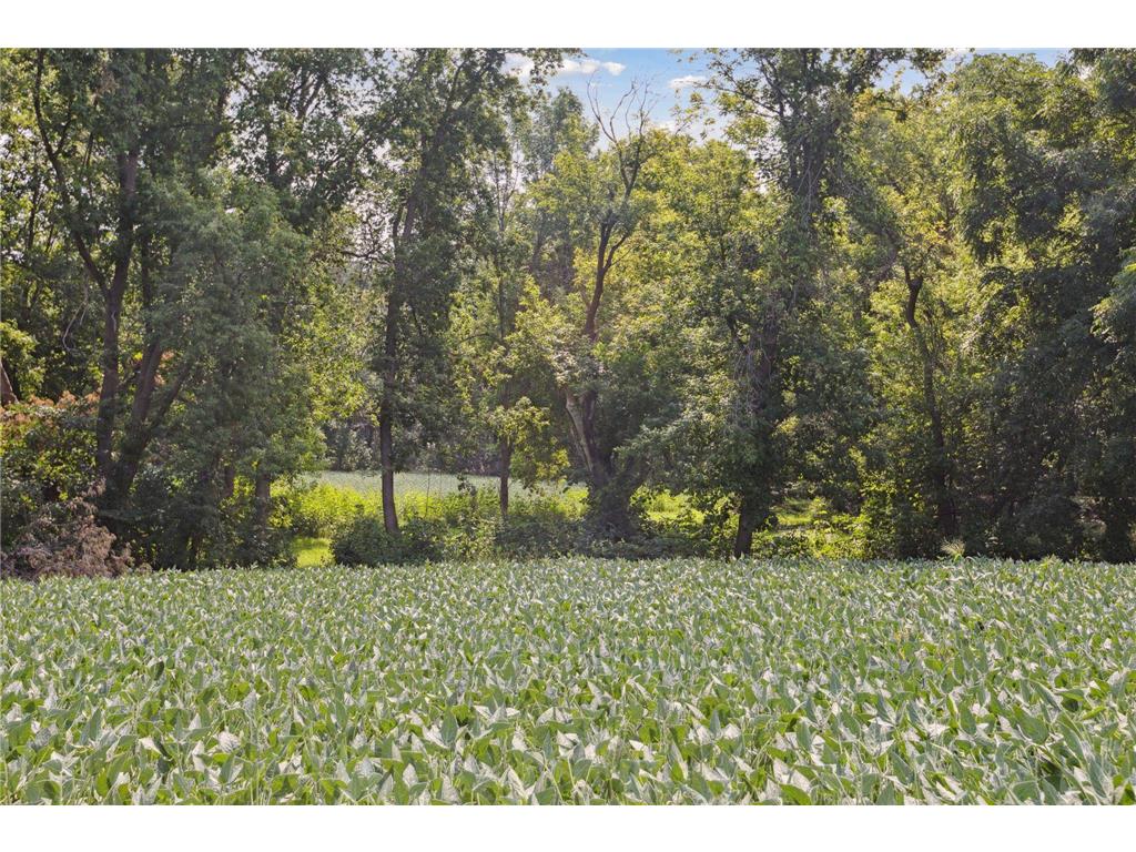 24x4 Holy Name Drive Medina MN 55340 6750128 image4