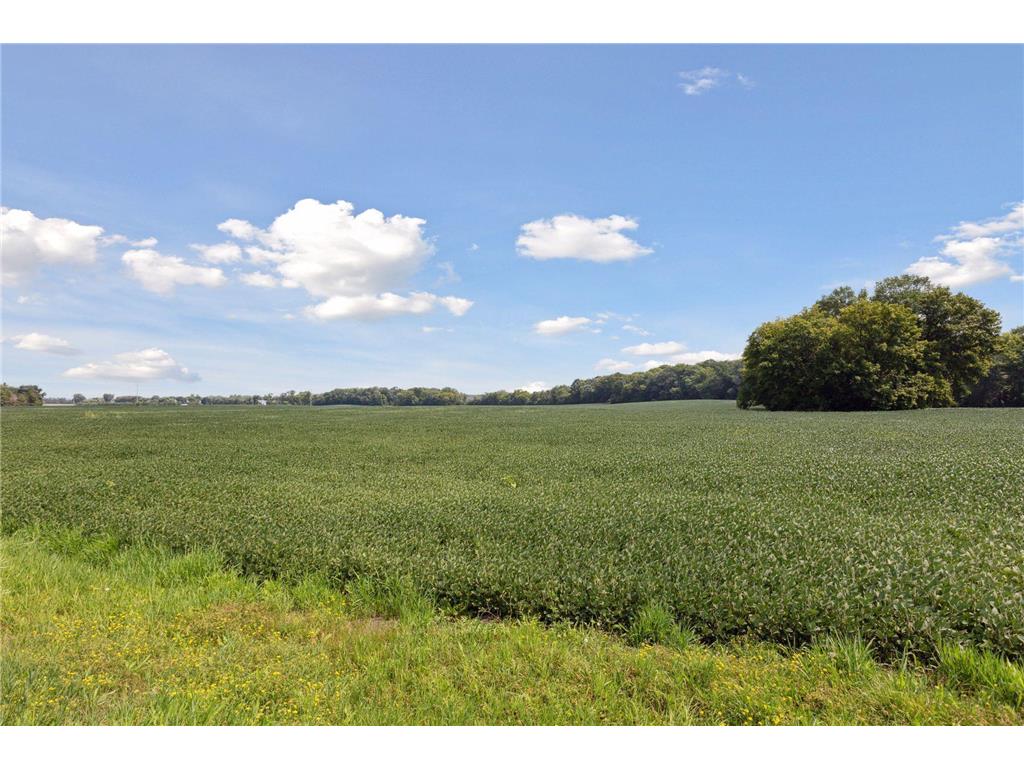 24x4 Holy Name Drive Medina MN 55340 6750128 image7