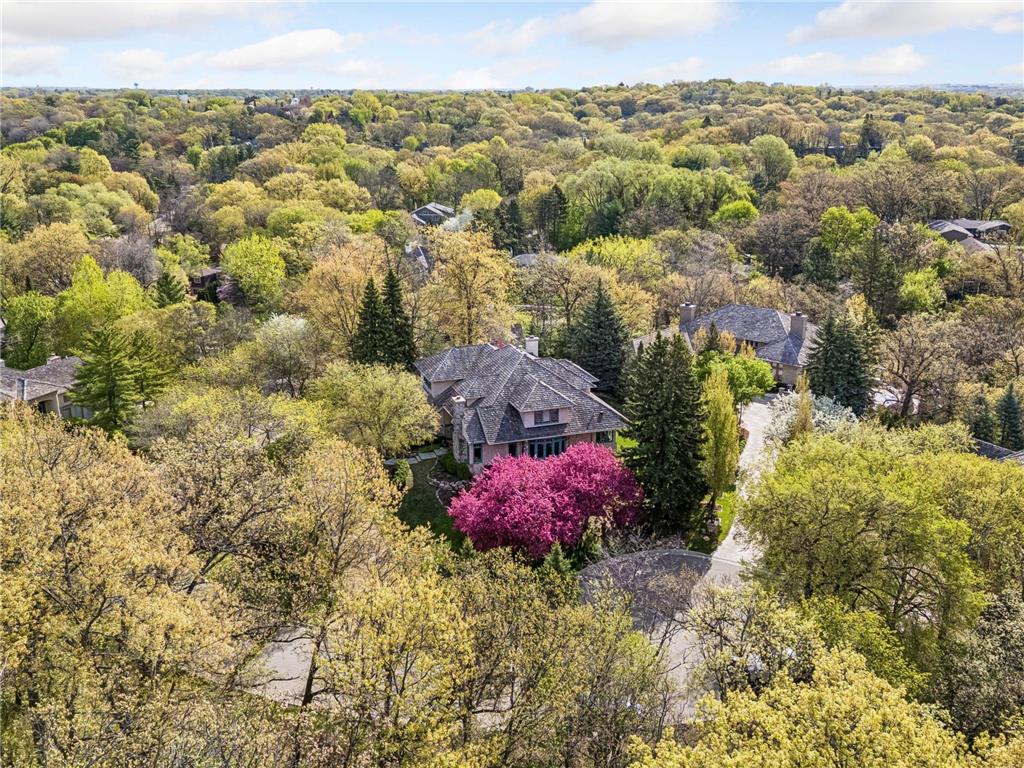 25 Bello Drive Edina MN 55439 7064808 image63