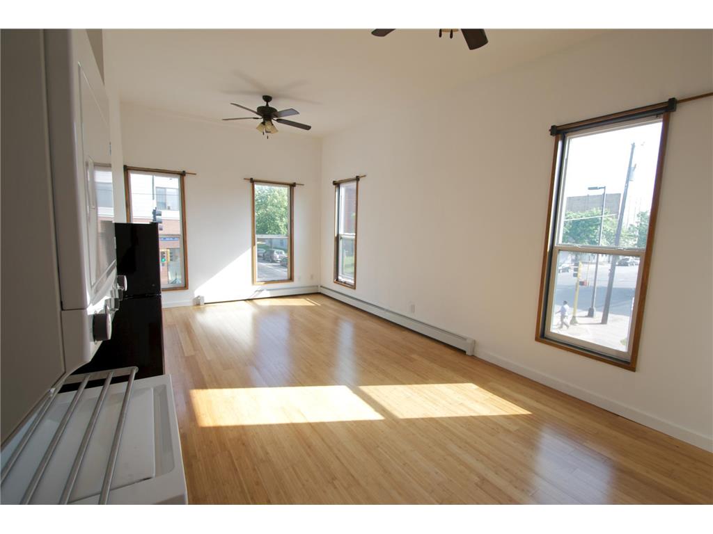 25 E 26th Street #1 Minneapolis MN 55404 6732434 image1