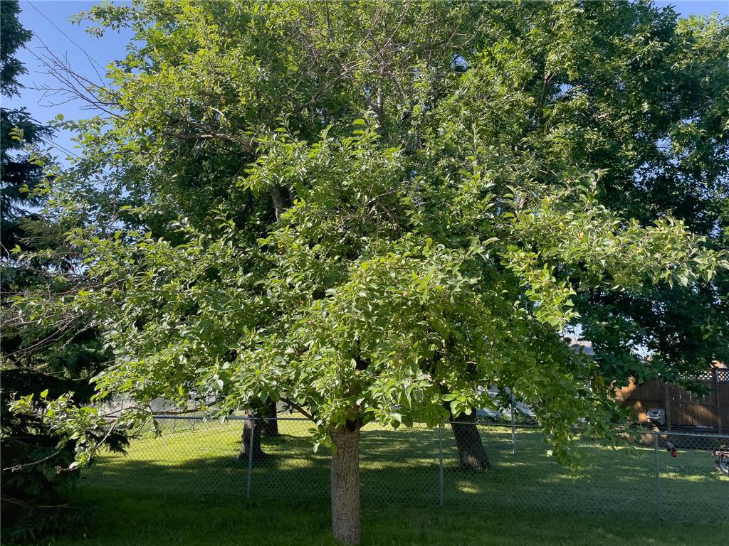 25 Gibson Road Silver Bay MN 55614 7110949 image30