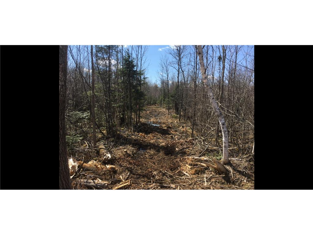 25 Itasca County 25 Wawina Twp MN 55736 6824891 image3