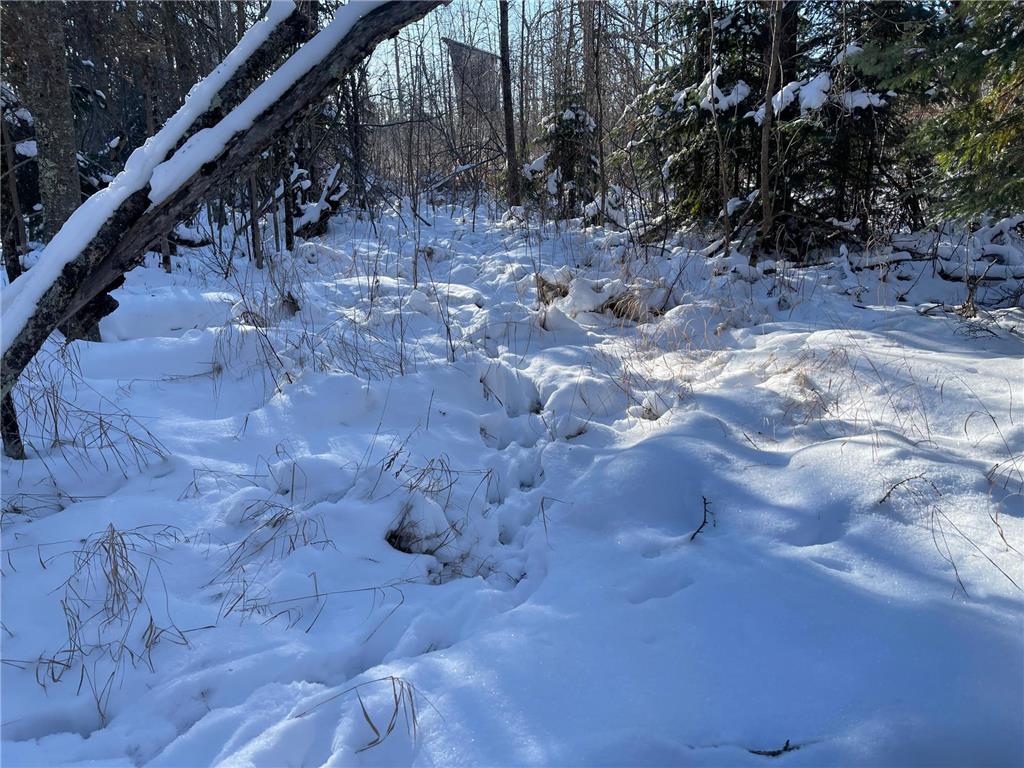 25 Itasca County 25 Wawina Twp MN 55736 6824891 image4