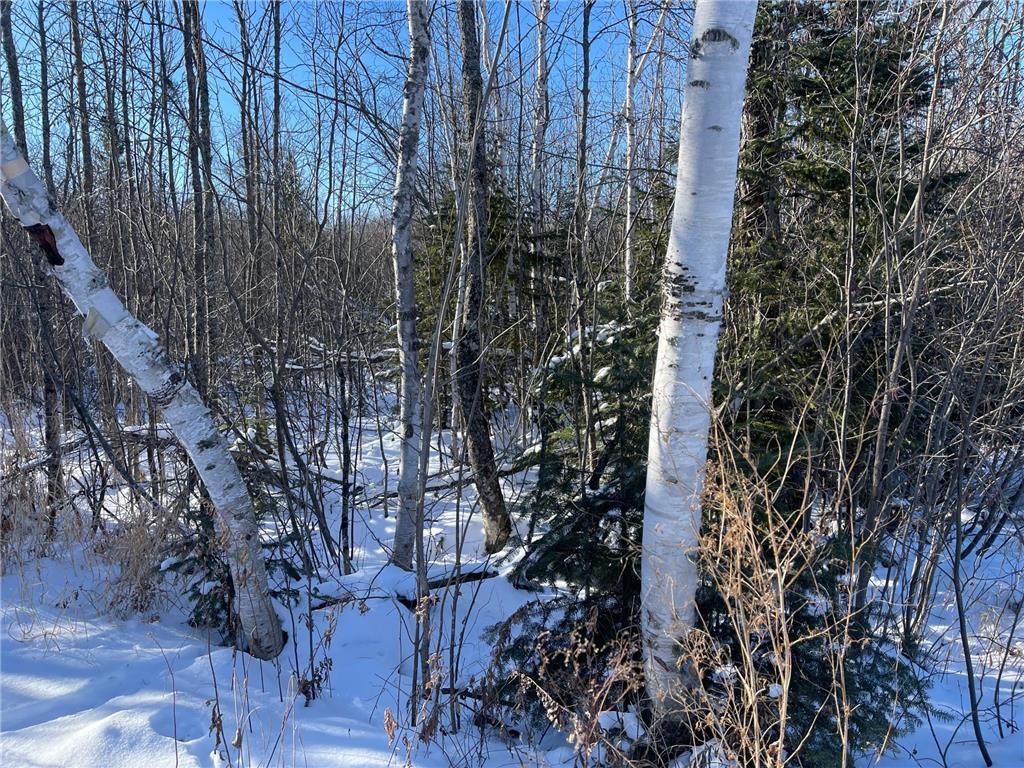 25 Itasca County 25 Wawina Twp MN 55736 6824891 image6