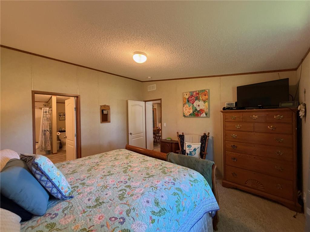 25 Pommier Lane Lake Sarah Twp MN 56132 - Lake Shetek Inlet 7110990 image5