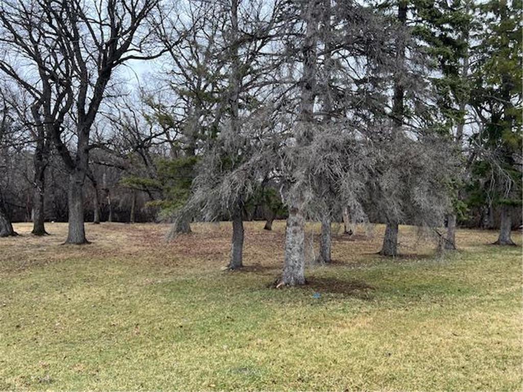 25 Short Avenue, Hallock, MN, 56728 MLS 6521427 Edina Realty