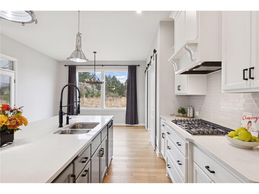 25 Summit Farm Lane Gem Lake MN 55110 6811744 image21