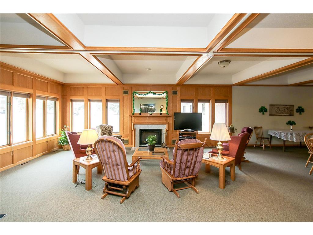 250 Freemont Avenue SE #113 Hutchinson MN 55350 6768534 image18