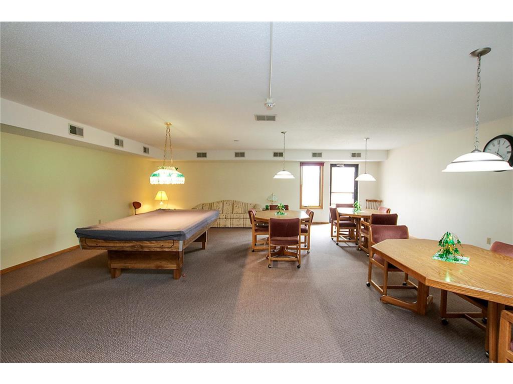 250 Freemont Avenue SE #113 Hutchinson MN 55350 6768534 image24