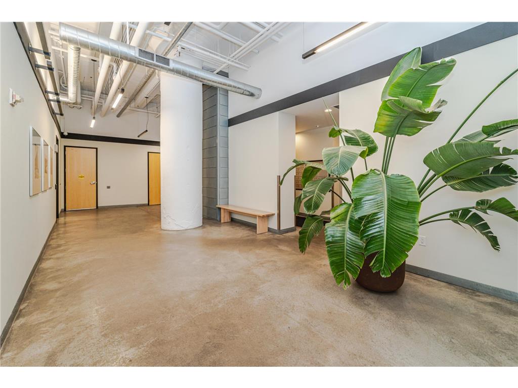 250 Park Avenue #304 Minneapolis MN 55415 7039480 image27