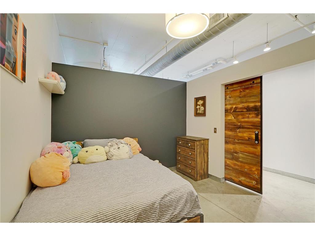 250 Park Avenue #305 Minneapolis MN 55415 6696121 image14