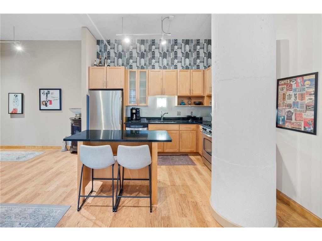 250 Park Avenue #502 Minneapolis MN 55415 7018708 image10