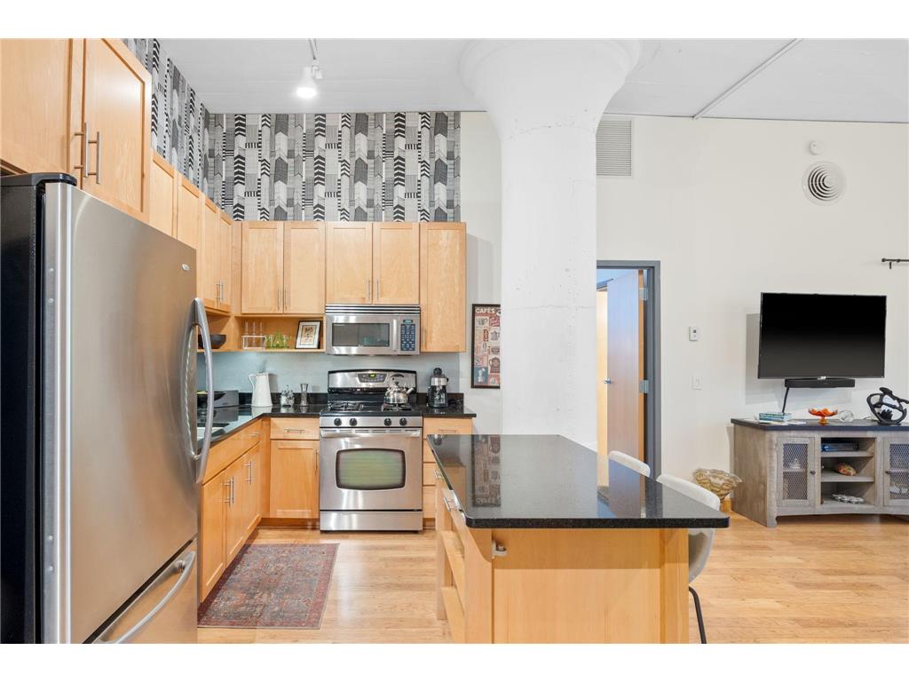 250 Park Avenue #502 Minneapolis MN 55415 7018708 image9