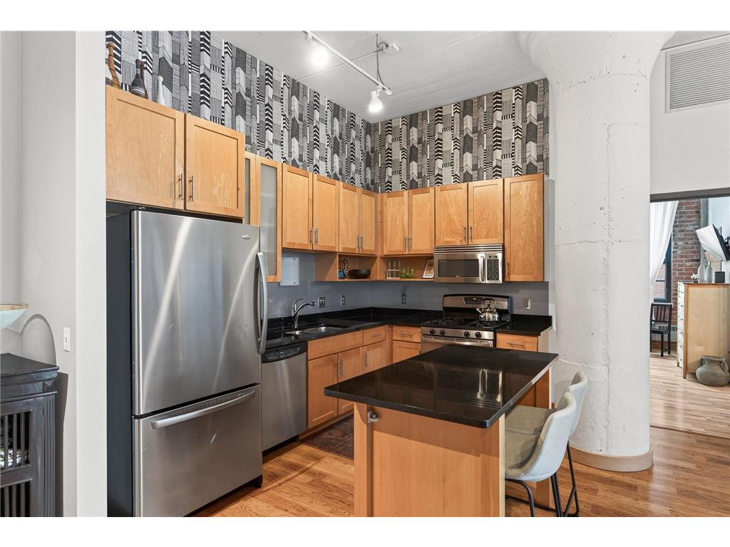 250 Park Avenue #502 Minneapolis MN 55415 7097742 image10