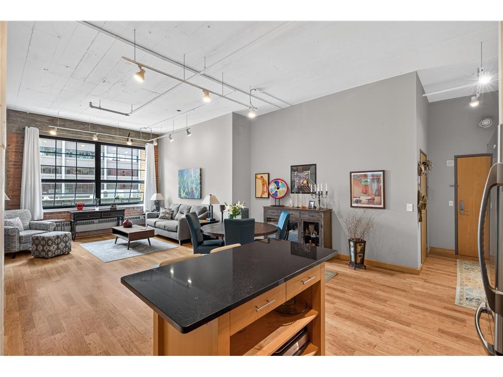 250 Park Avenue #502 Minneapolis MN 55415 7097742 image6