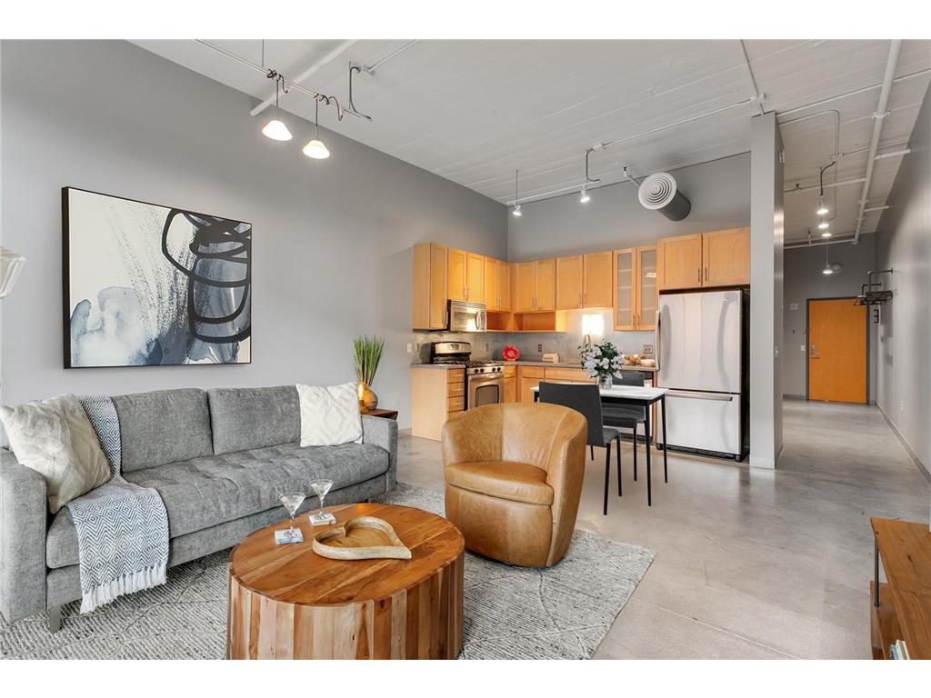 250 Park Avenue #515 Minneapolis MN 55415 6634426 image1