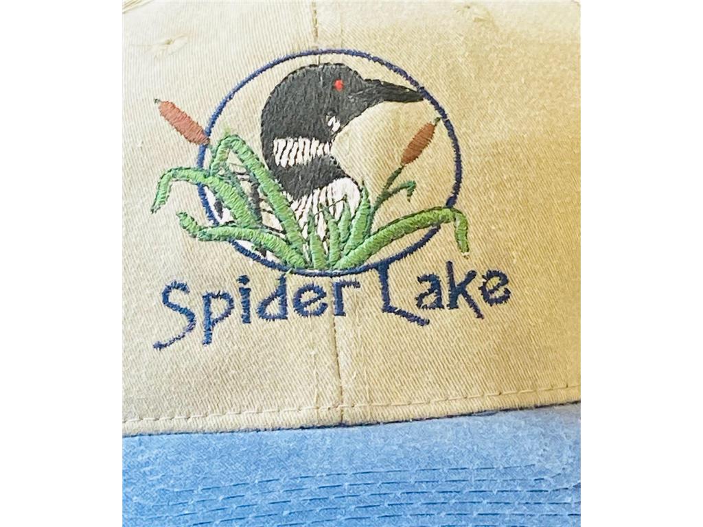 25006 Great Pine Drive Nevis MN 56467 - Spider Lake 6704904 image2