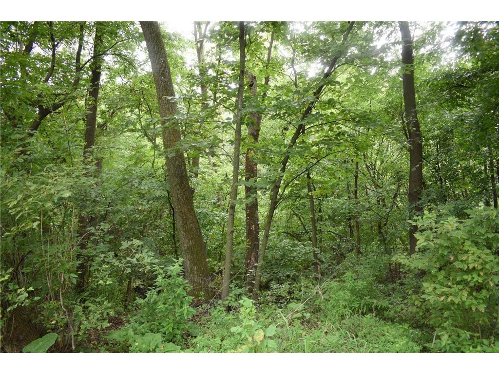 25048 County Road 34 Paynesville MN 56362 7008003 image51