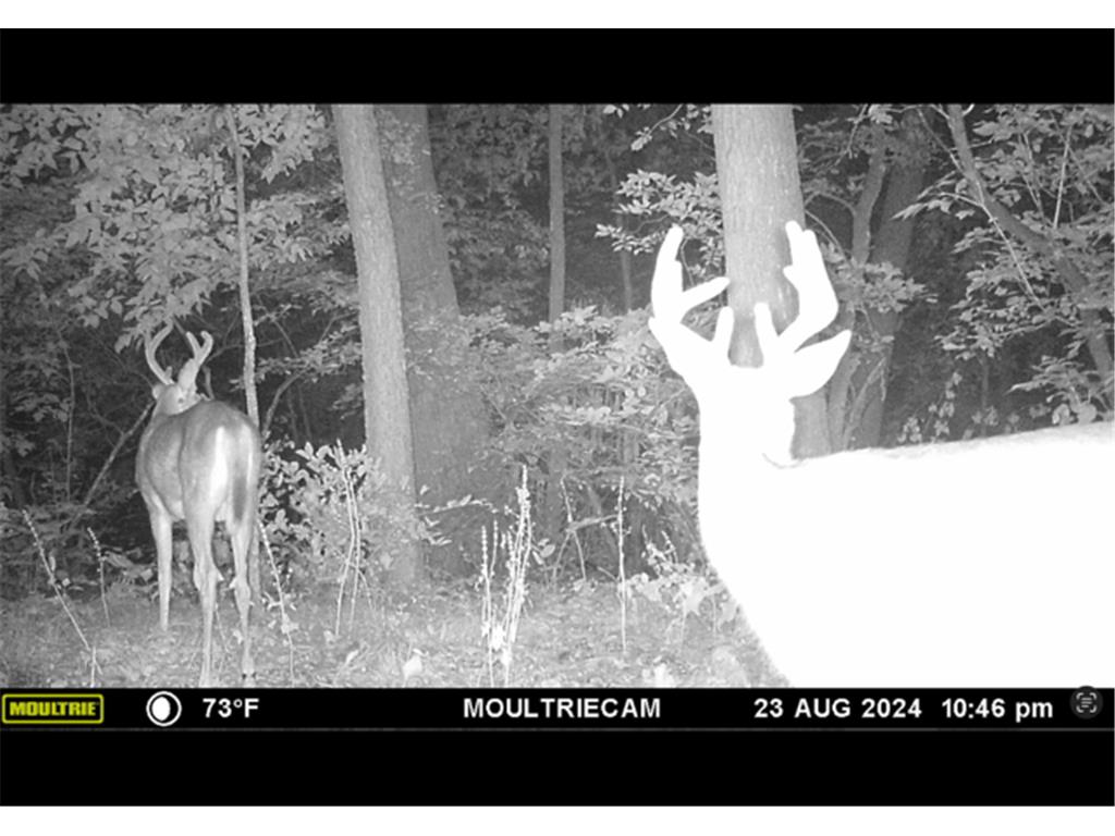 25048 County Road 34 Paynesville MN 56362 7008003 image74