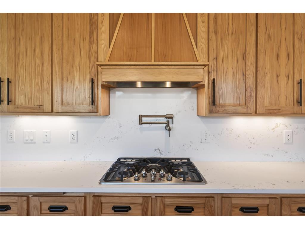 2505 223rd Lane NW Oak Grove MN 55011 7072601 image28